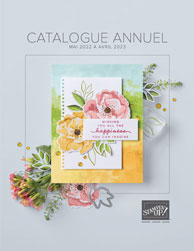 06-01-18_cover_ac2018_custcataloglp_sp_175x226